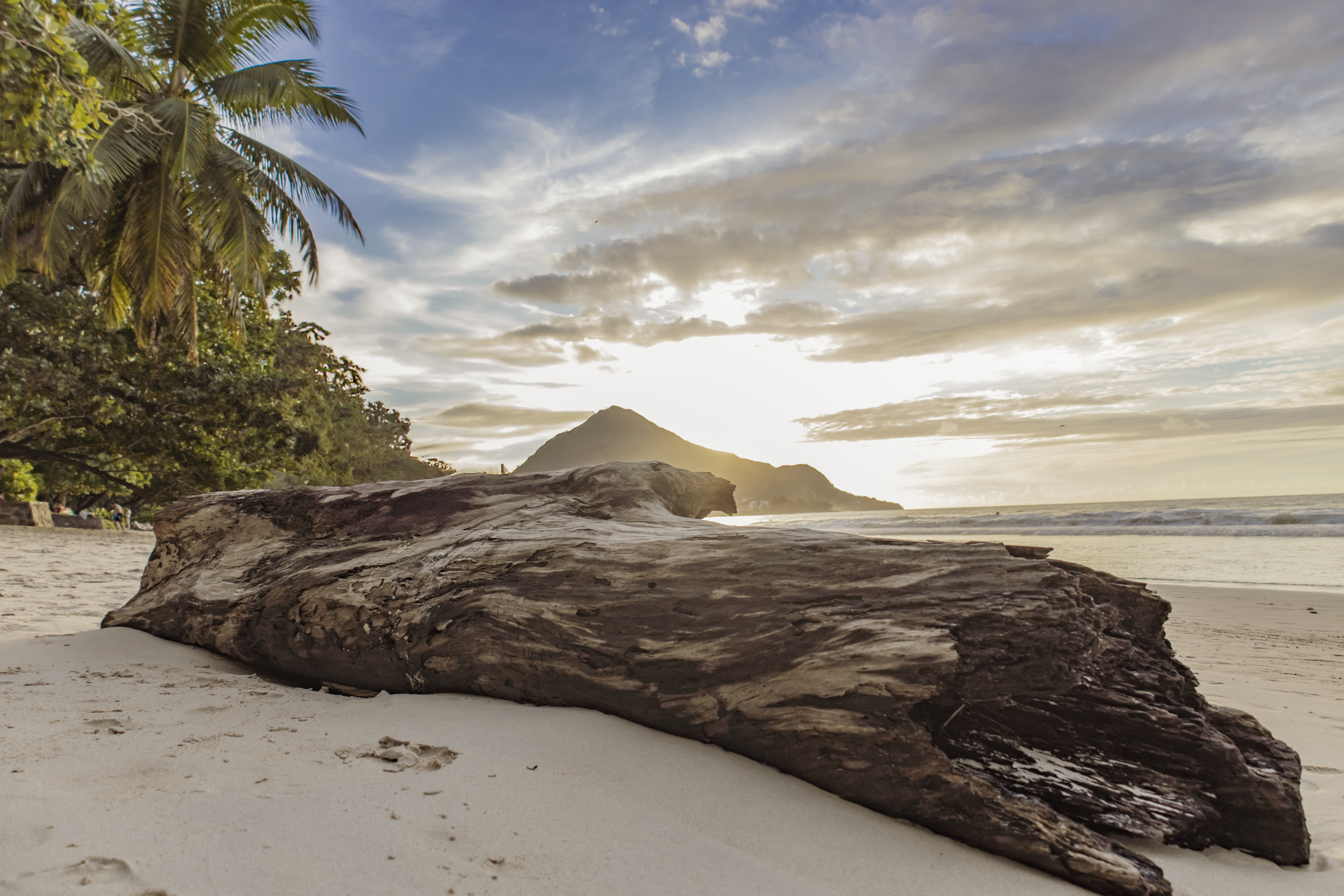 Discover Paradise in Seychelles